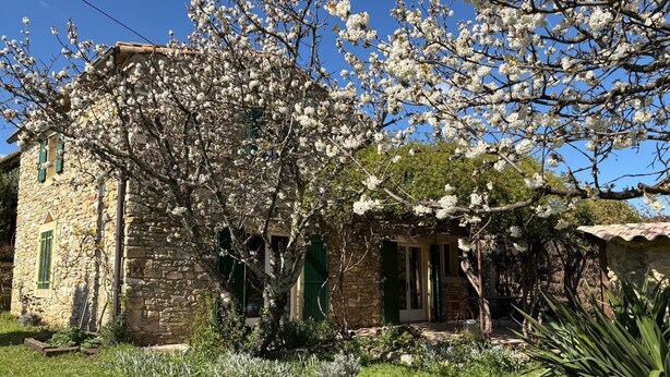 A stone building with a garden and a tree with white blossoms. - Gîte in the heart of nature (Cavillargues)