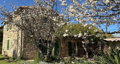 Gîte au coeur de la nature