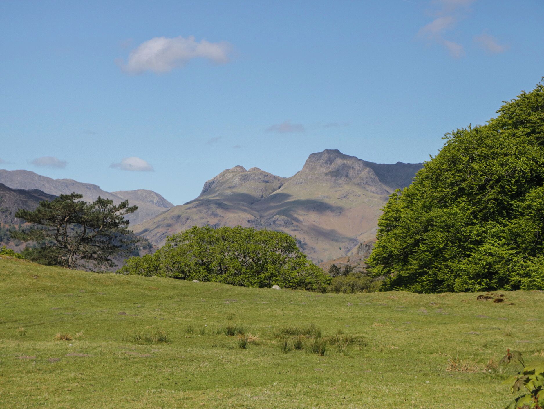 Ein grünes Feld mit Bergen im Hintergrund.