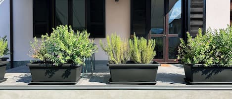 Edifício moderno com três grandes jardineiras no andar térreo, uma cobertura e uma porta com painéis de vidro.