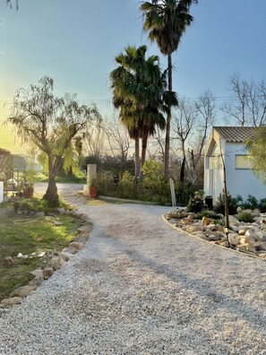 Property grounds - Bright Elegant Algarve Cottage with Natural Pond (Moncarapacho)