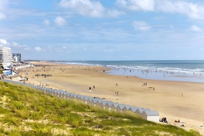 Une plage avec un rivage sablonneux, un premier plan herbeux et un ciel dégagé.