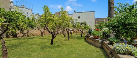 Une cour avec une pelouse, des arbres et des plantes en pot.