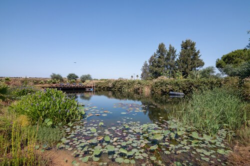 Fröhliches 2-Zimmer-Algarve-Cottage mit Naturpool & Gärten