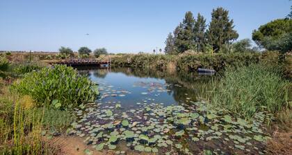 Fröhliches 2-Zimmer-Algarve-Cottage mit Naturpool & Gärten