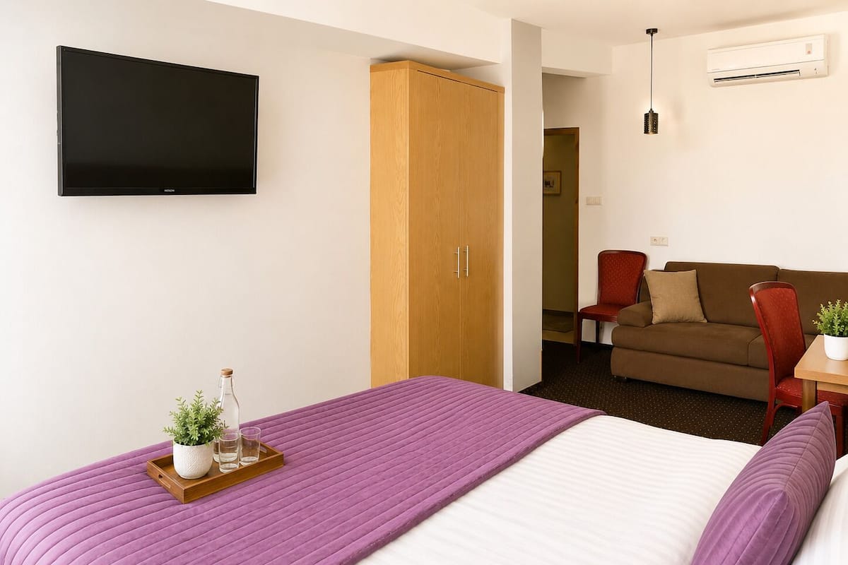 A hotel room with a bed, a TV, a wardrobe, a sofa, and a small table with a plant.