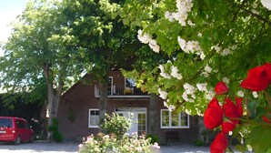 A two-story brick house with a balcony, surrounded by lush greenery and flowering plants. - Holiday Apartment for 4 Guests (60 m²) on Fehmarn (Fehmarn)