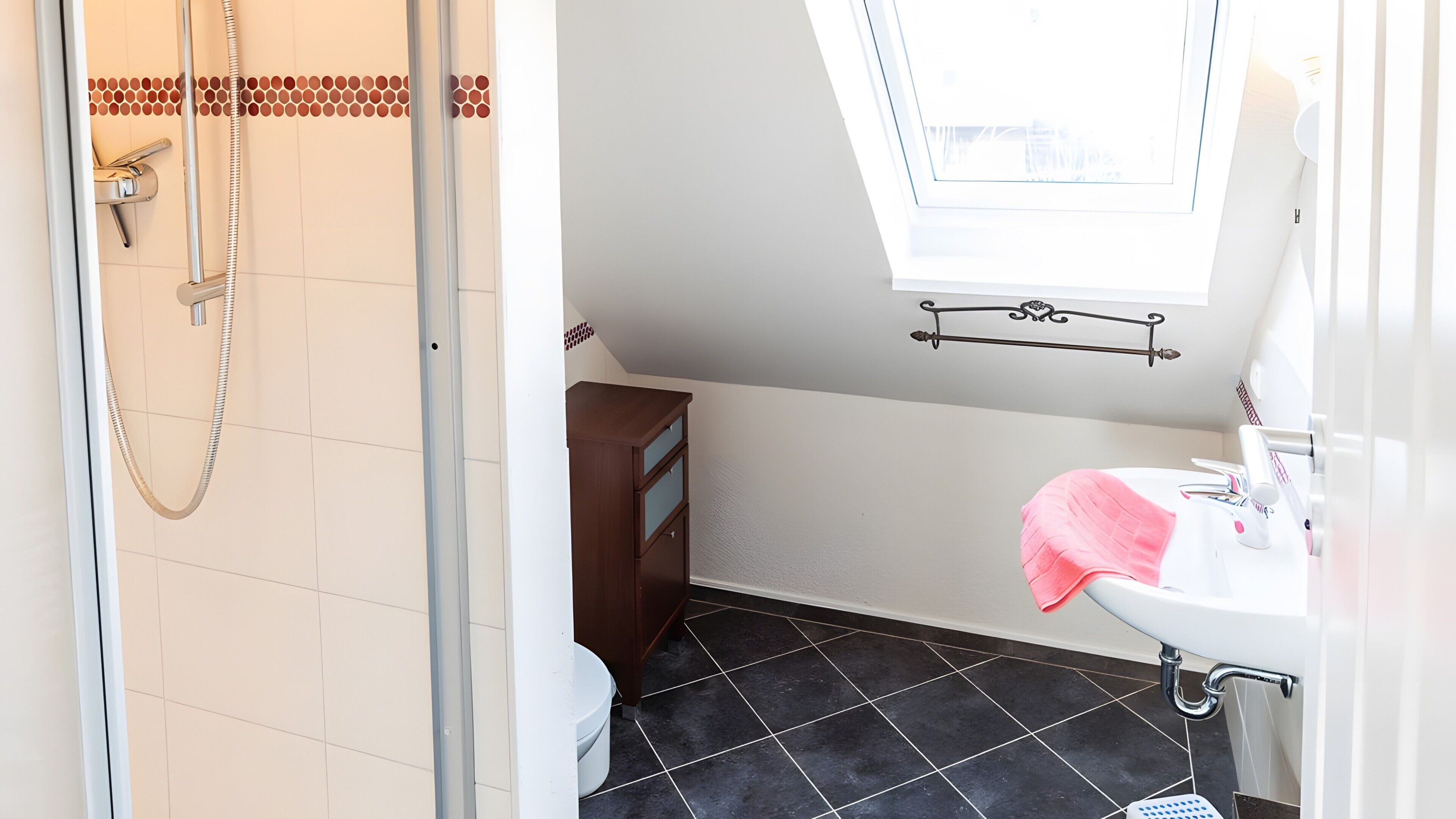 Shower, hair dryer