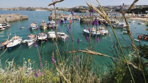 Un port amb embarcacions amarrades, envoltat de vegetació i un cel serè.
