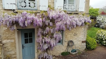 Detalle exterior