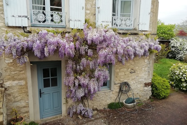 Detalle exterior
