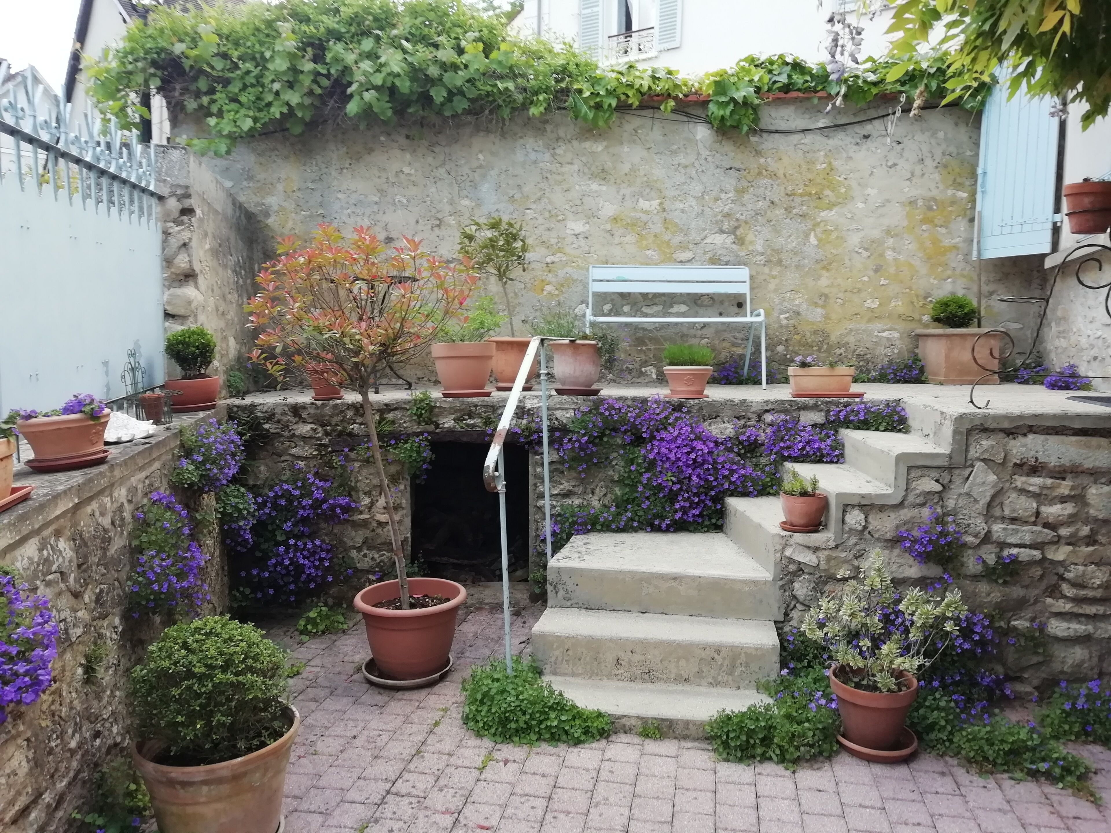 A courtyard with stone steps, potted plants, and a metal bench.