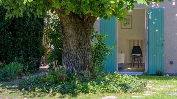 Un sentiero alberato che conduce a un edificio con una porta e una sedia all'interno.