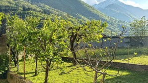 Un vignoble avec des rangées de vignes, un mur de pierre et une chaîne de montagnes en arrière-plan.