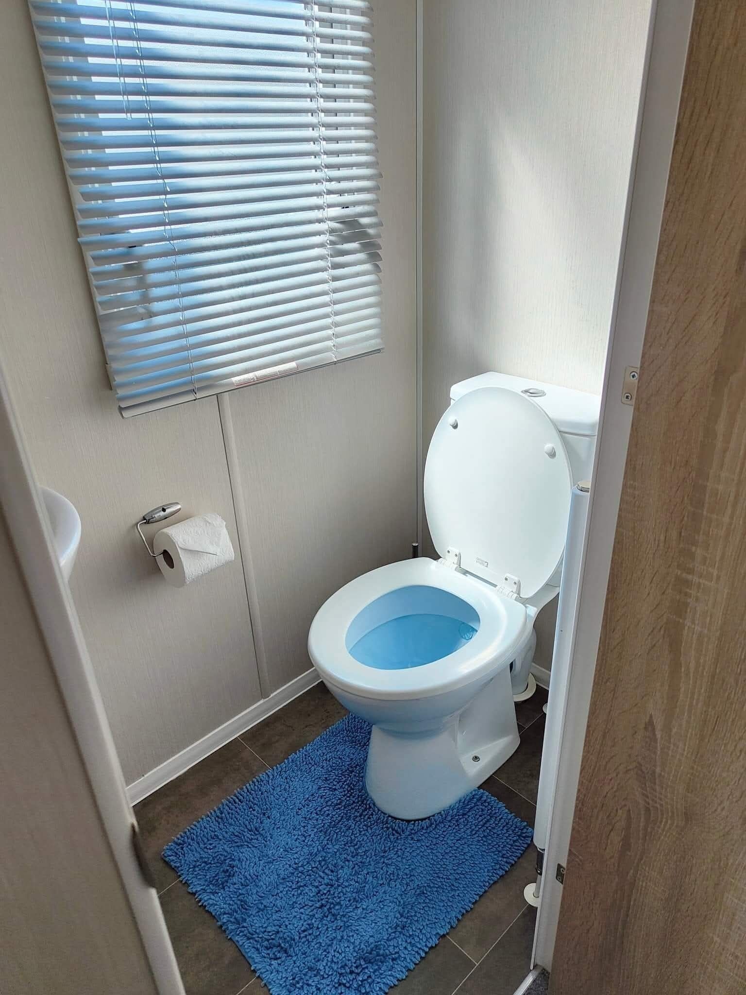 Uma casa de banho com sanita, um tapete de casa de banho azul, um suporte para rolo de papel higiénico e uma janela com persianas.