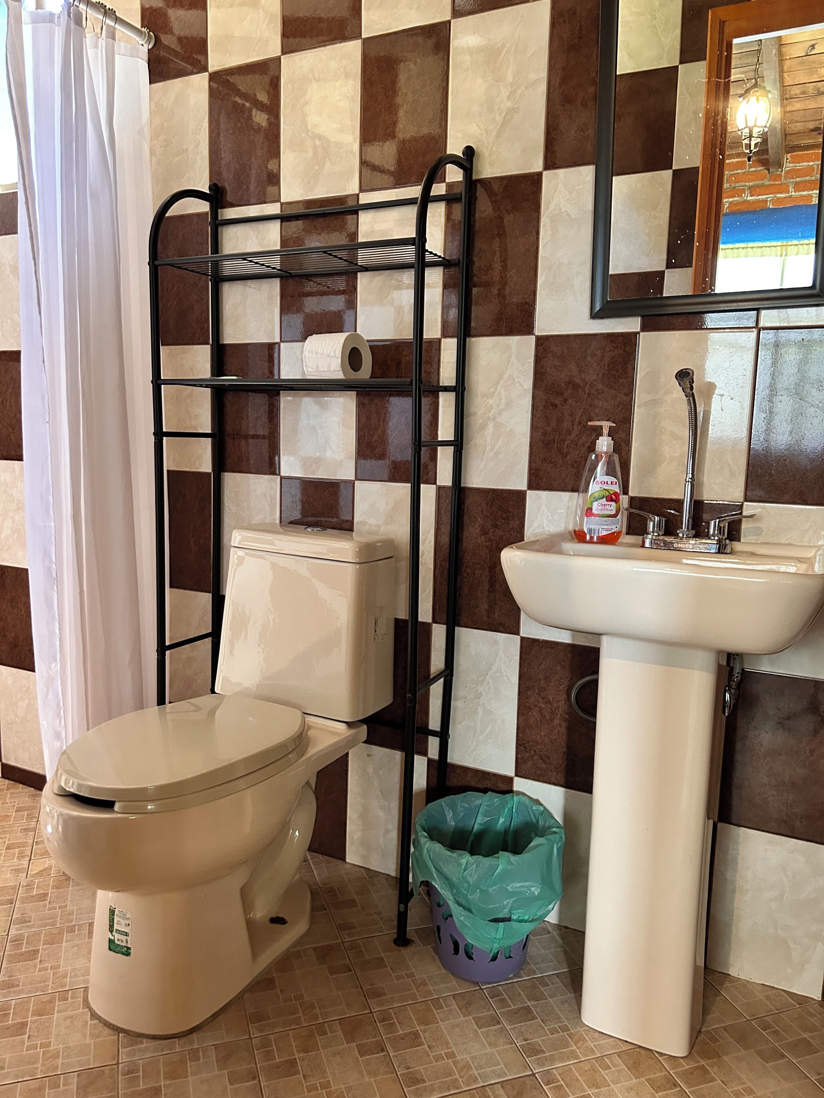A bathroom with a toilet, a sink, a shower curtain, a metal shelf with a toilet paper roll, a bottle of hand soap, and a trash bin.