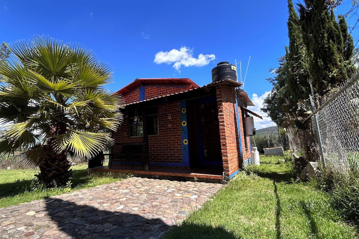 A small brick house with a red roof, a stone pathway leading to the entrance, and a palm tree in the foreground.