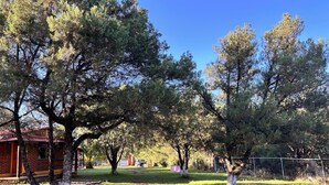 Un'area erbosa con alberi e un edificio in mattoni.