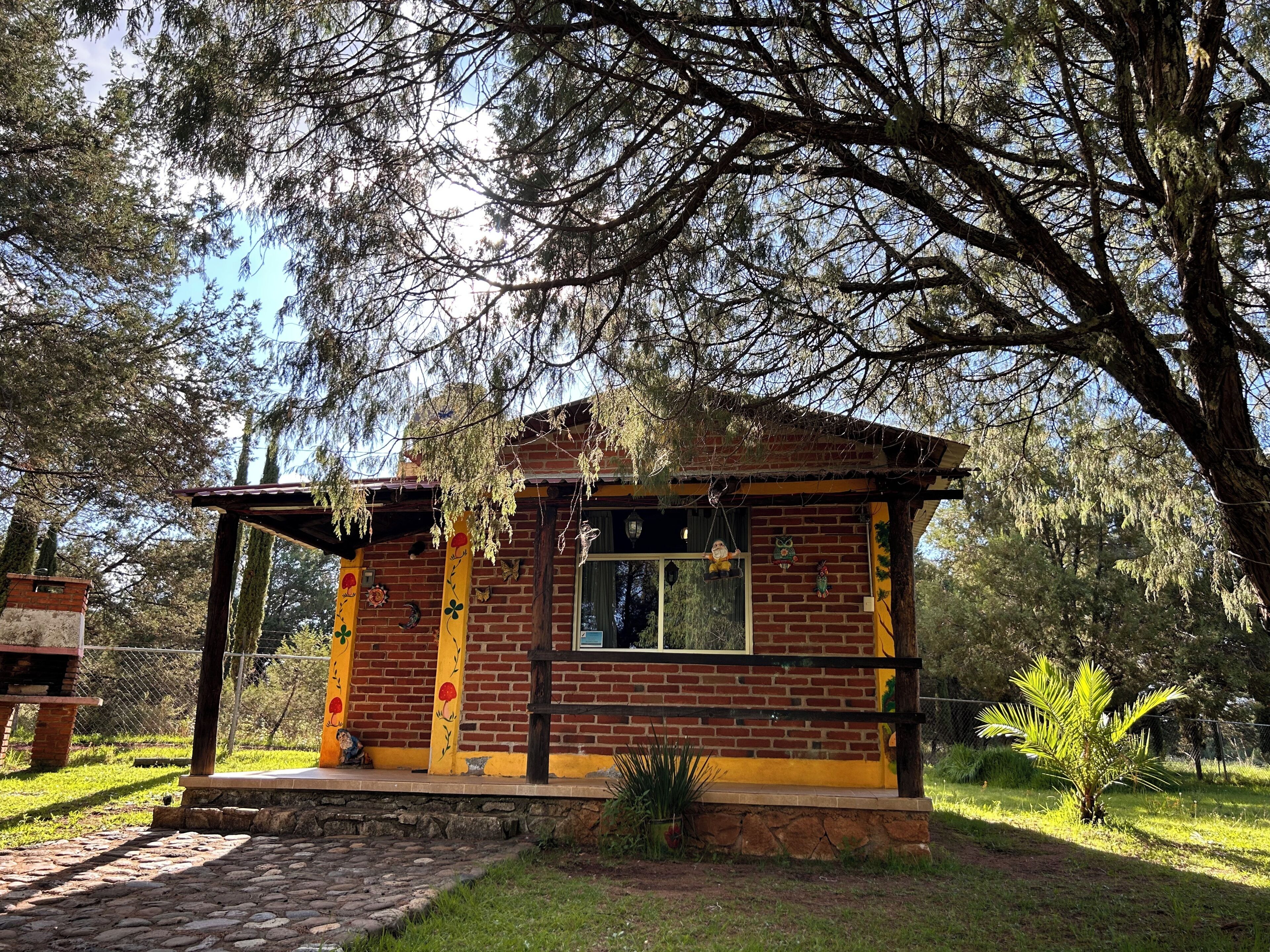 Suite Confort, patio, vista al jardín | Áreas de la propiedad