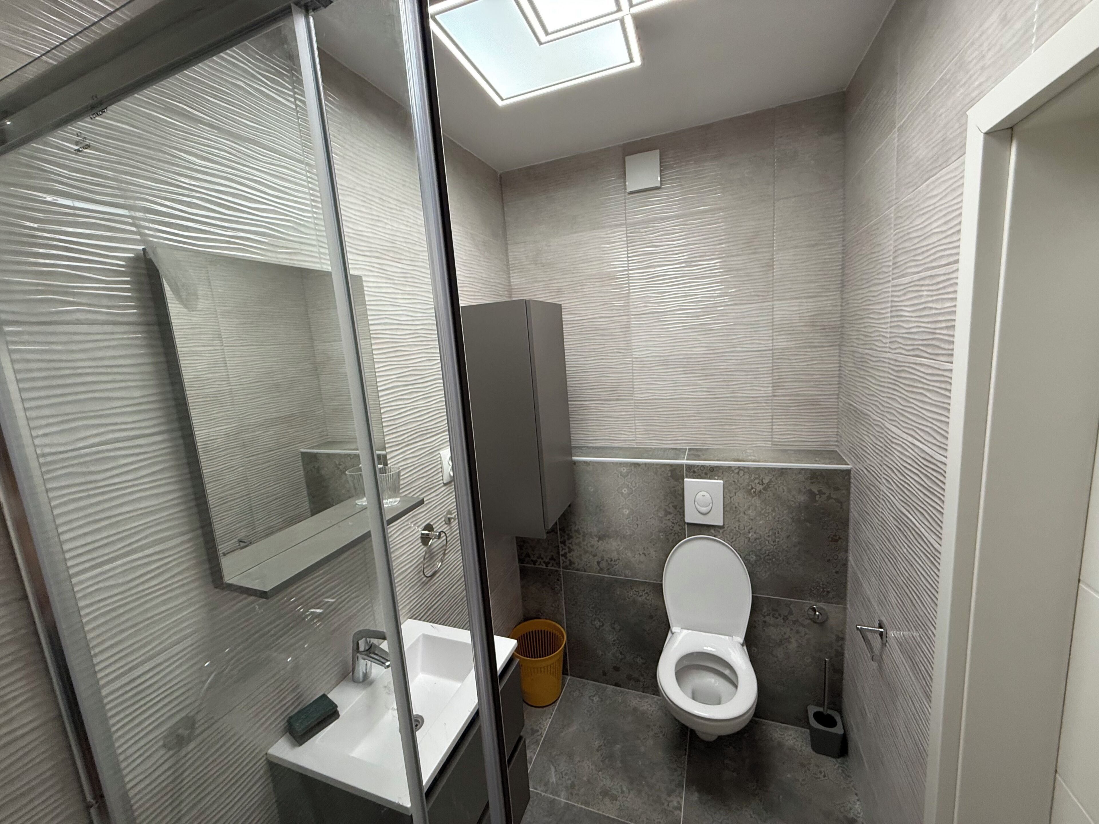A modern bathroom with a glass shower enclosure, a white sink, a toilet, and a mirror.