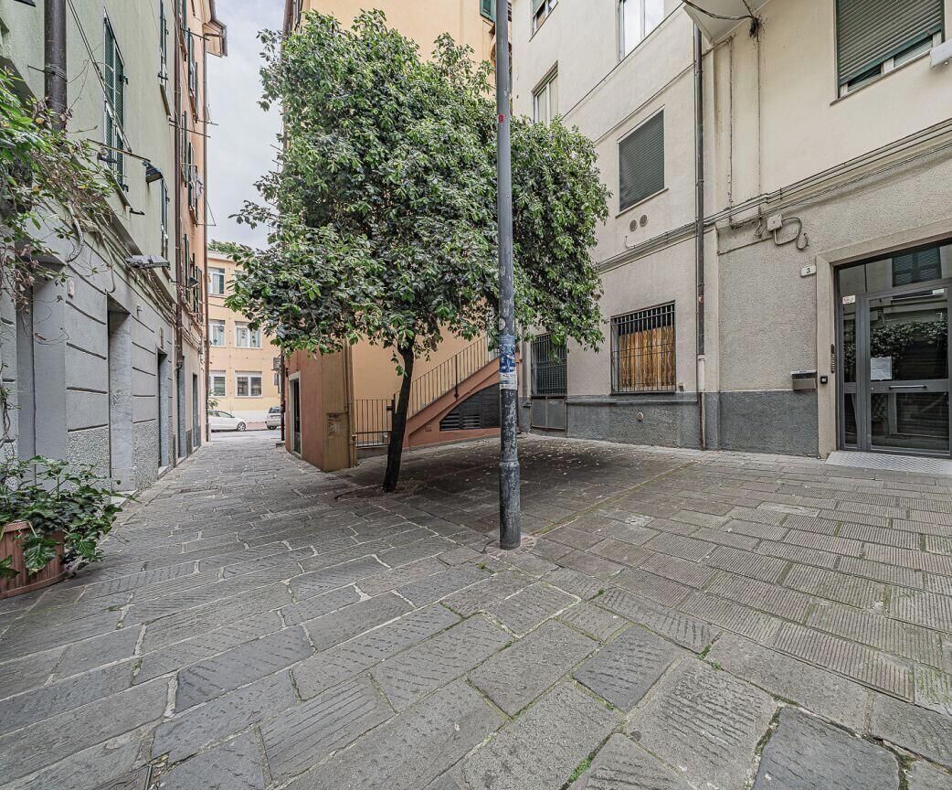 A narrow stone-paved alleyway with a tree, buildings on either side, and a metal pole.