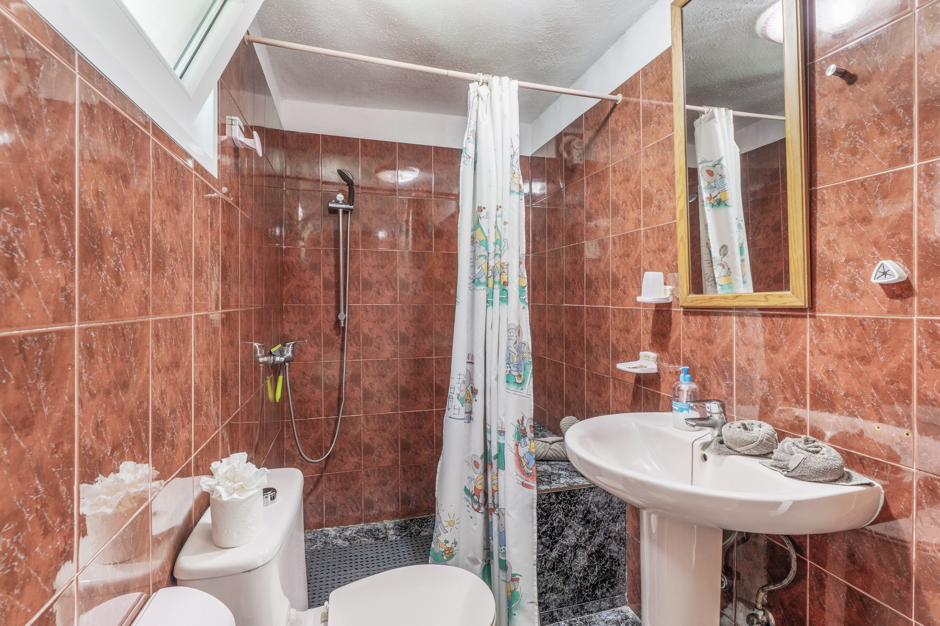 Ducha, secador de pelo y toallas