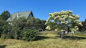 A house with a green roof, surrounded by a grassy yard and dense foliage. - 1-Bedroom Off Grid Cabin on Remote Island Across from Acadia National Park (Tremont)