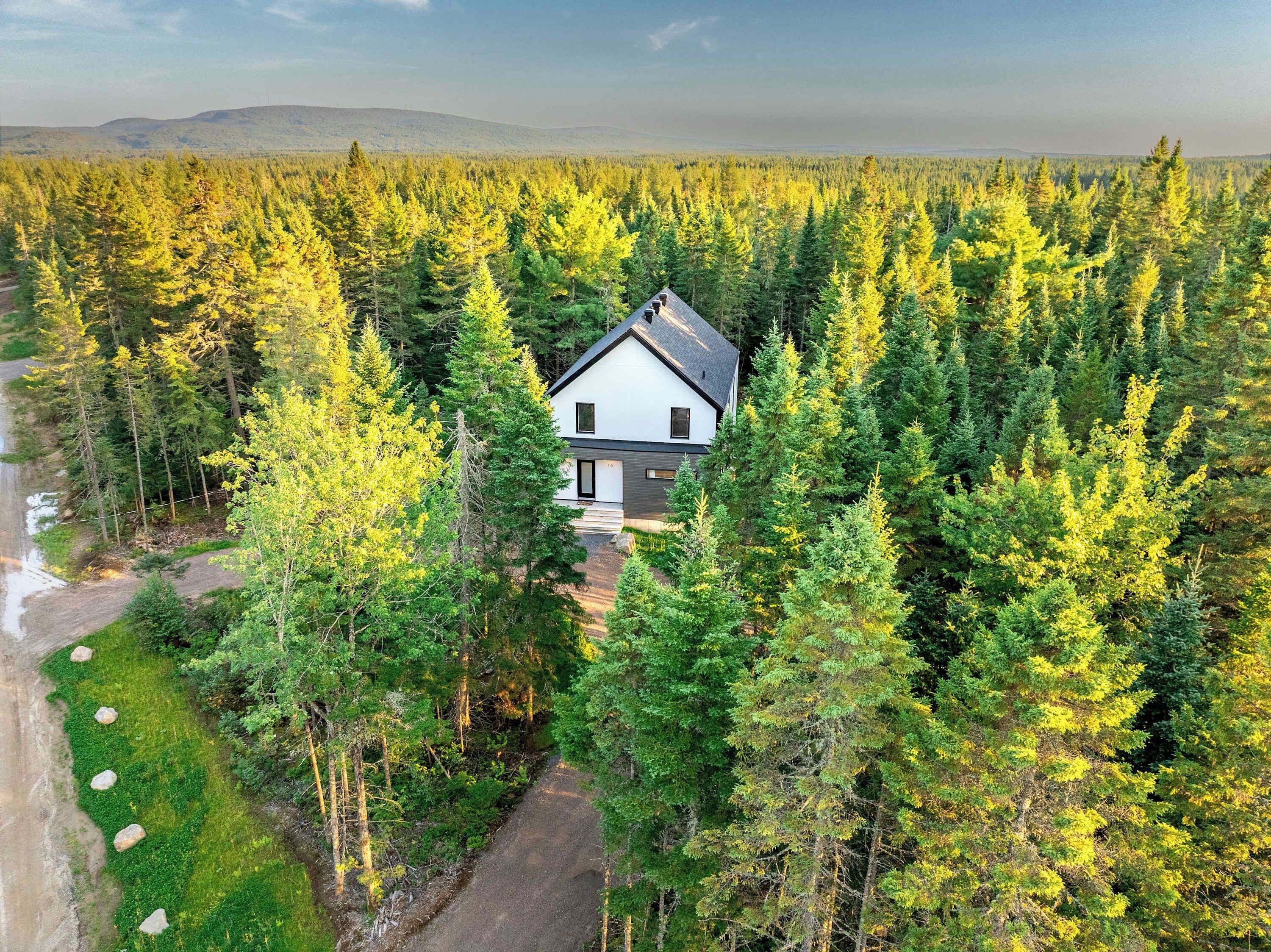 A modern house surrounded by dense forest, with a clear sky above.