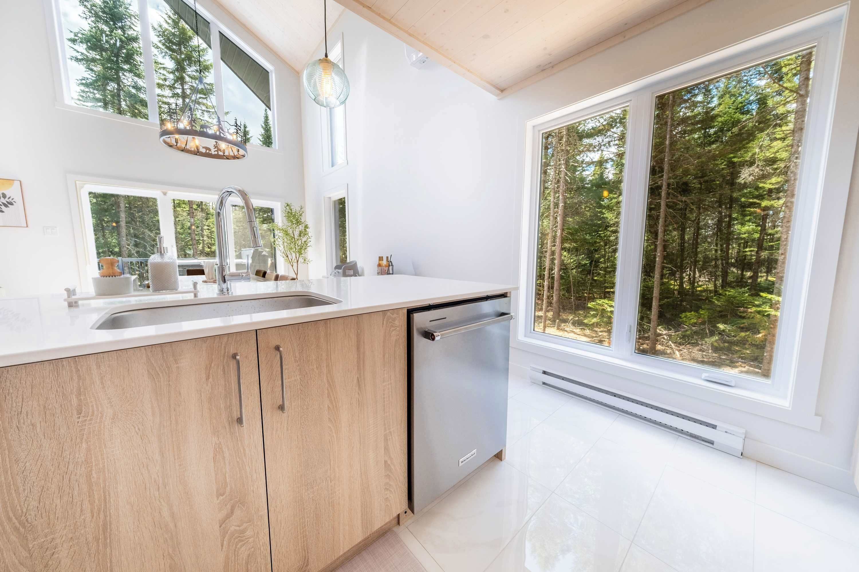 Une cuisine moderne équipée d’un lave-vaisselle, dotée de grandes fenêtres et offrant une vue sur une forêt.