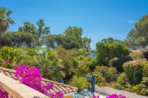 Eine Terrasse mit Ziegeldach, Liegestühlen und einem Garten mit verschiedenen Bäumen und Sträuchern.