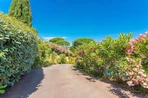 A paved pathway flanked by lush greenery and flowering plants. - Room 'Le Petit Ramsès - Elephants' with Shared Pool, Wi-Fi and Air Conditioning (Sainte-Maxime)