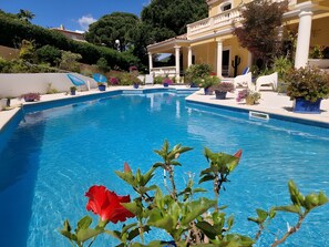 Pool - Room "Le Petit Ramsès - Hortensia" with Shared Pool, Wi-Fi and Air Conditioning (Sainte-Maxime)