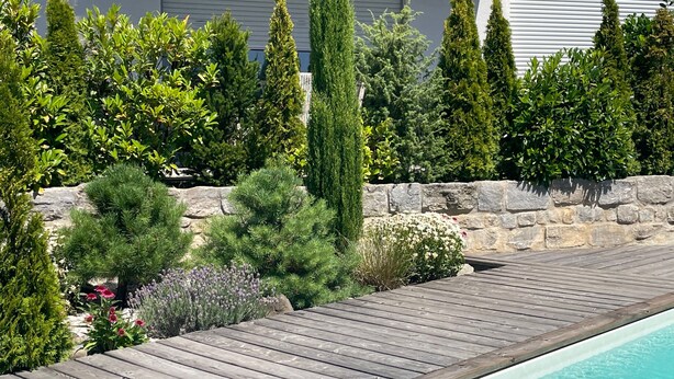 A wooden deck leading to a swimming pool with a stone wall and various shrubs.