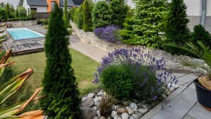 A backyard with a swimming pool, various plants, and a stone wall.