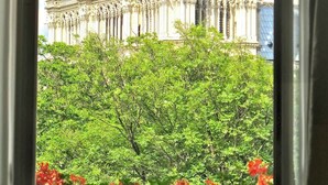 Blick auf ein prachtvolles Gebäude mit mehreren Säulen und Bögen, durch ein Fenster mit Grünpflanzen und roten Blumen im Vordergrund.