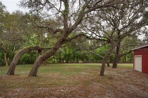 Property grounds - Spacious 4-bedroom farmhouse in tranquil New Port Richey with AC (New Port Richey)