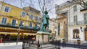 A statue in a square with buildings in the background. - Nuit étoilée (Arles)