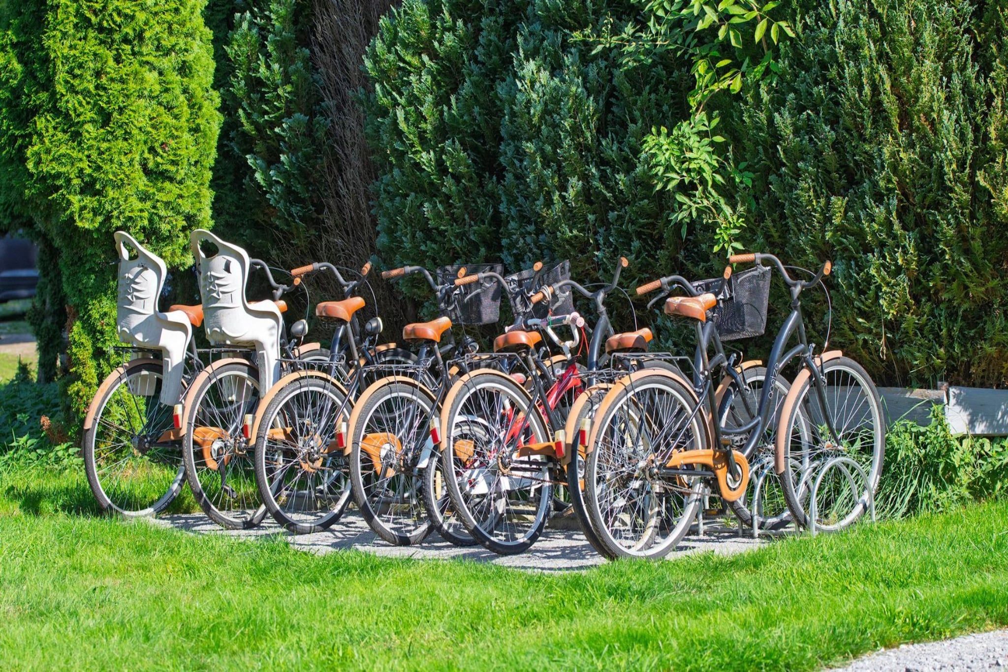 Une rangée de vélos est stationnée dans un espace herbeux, avec des arbres en arrière-plan.