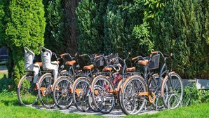 Une rangée de vélos est stationnée dans un espace herbeux, avec des arbres en arrière-plan.