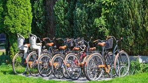 A row of bicycles parked in a grassy area with trees in the background. - Comfortable holiday home no. 3B with a fireplace (Darlowo)
