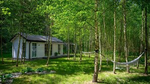 Une cabane entourée d’une forêt, avec un hamac.