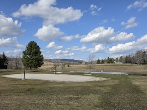 A park with a large tree, a pond, and a building in the background. - Deerfield Village | Sleeps 10 | Fireplace + Pool (Tucker County)
