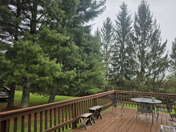 A wooden deck with a table and chairs, surrounded by tall trees.