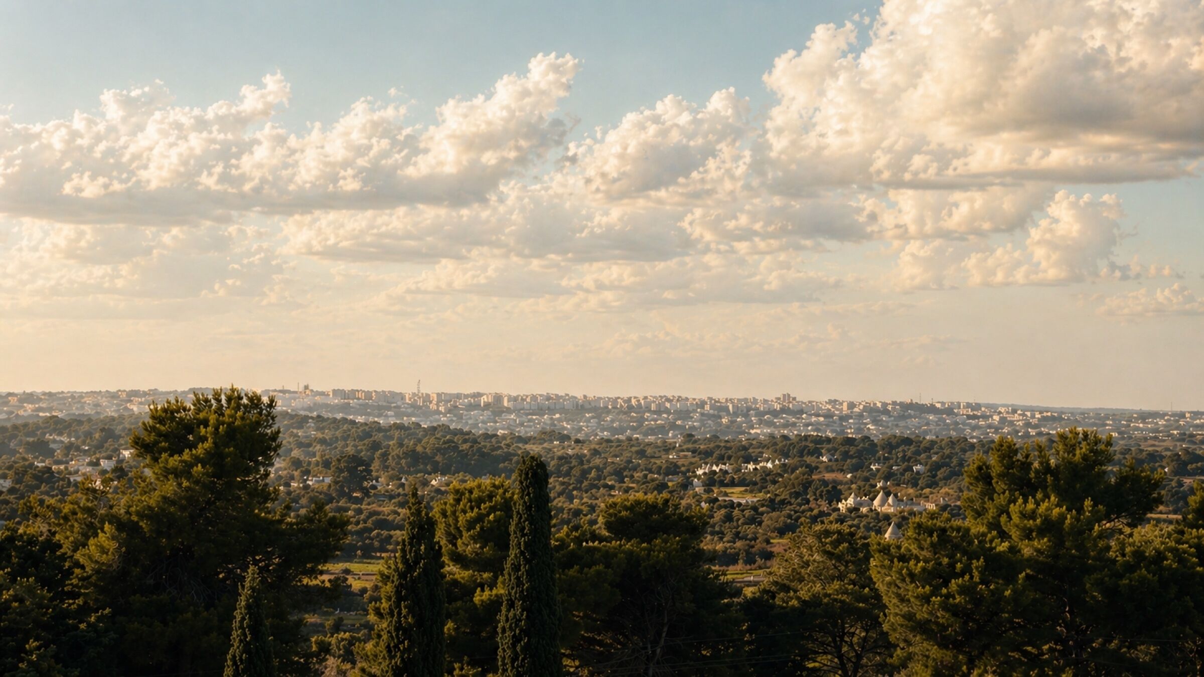 A panoramic view of a cityscape with a mix of urban buildings and green areas, including trees and open spaces.