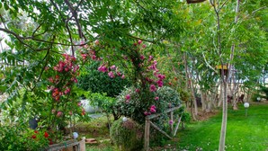 Ein Garten mit blühenden Pflanzen und einer Holzkonstruktion.