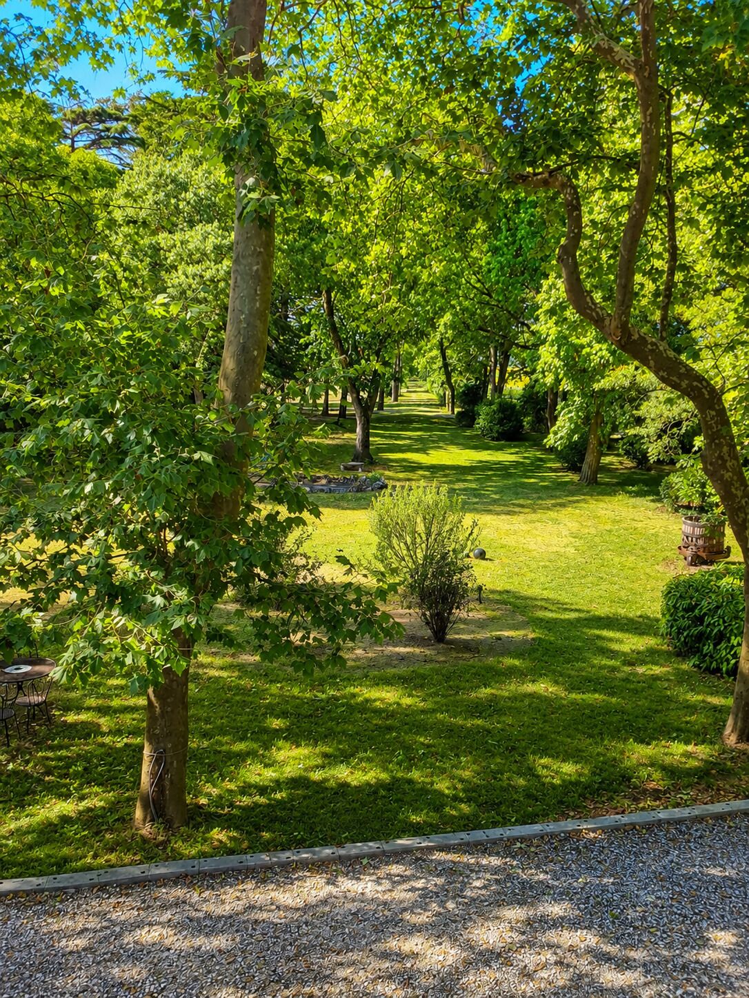 A well-maintained garden with a gravel path, neatly trimmed grass, and a variety of trees.