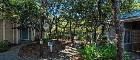 A tree-lined pathway leading to a building with a sign that reads "Welcome to the Village."