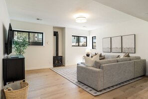 Smart TV, fireplace, books