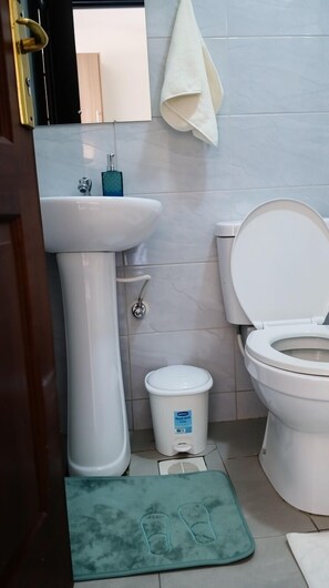 Towels, soap, toilet paper - 'Hotel Standard Studio BNB near Nairobi CBD (Nairobi)