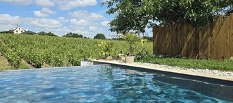 Grange viticole avec piscine au cĆur du Layon